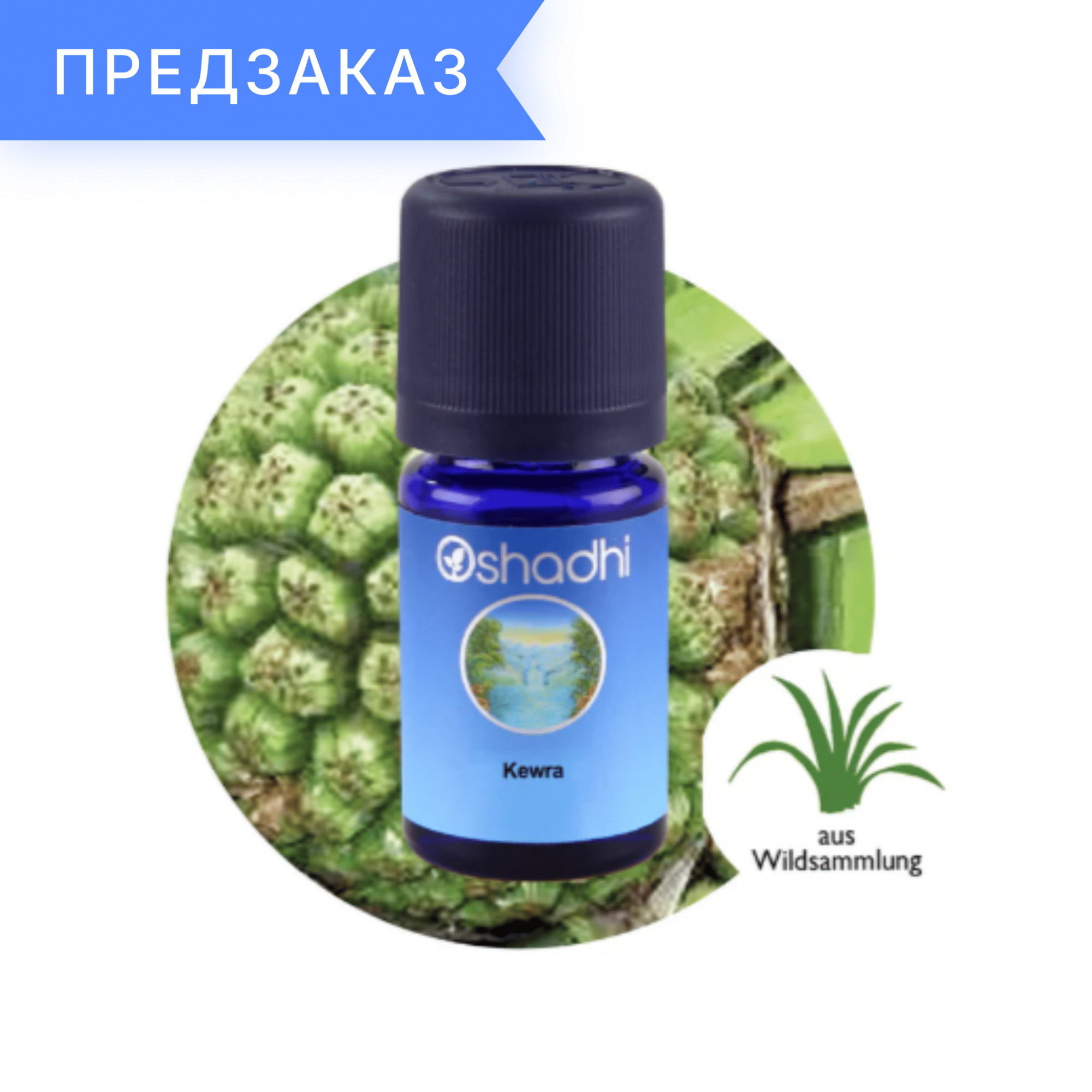 Кевда/кевра (пандан ароматнейший), Pandanus odoratissimus L. 1 мл