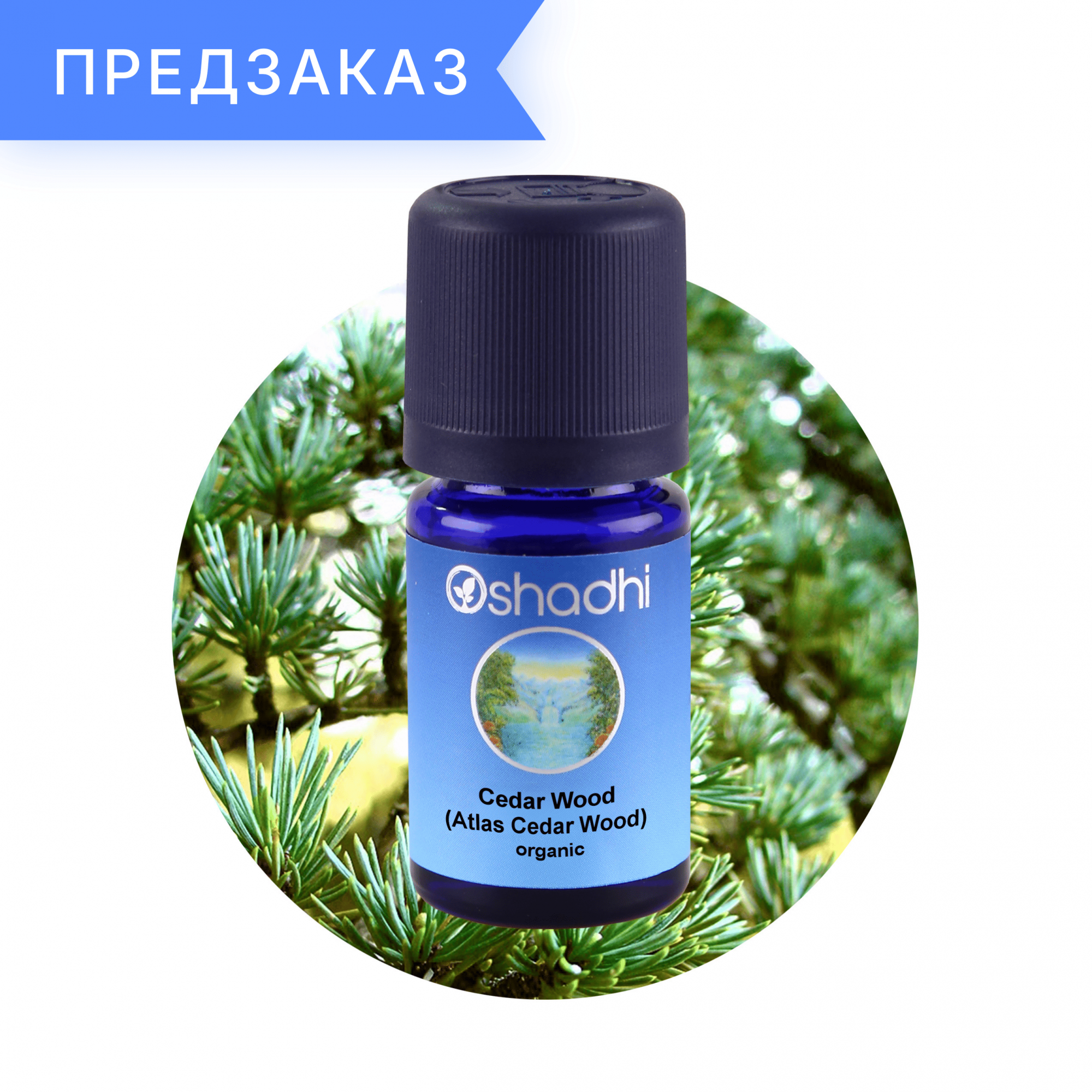 Кедр атласский, органический, Cedrus atlantica 10 мл