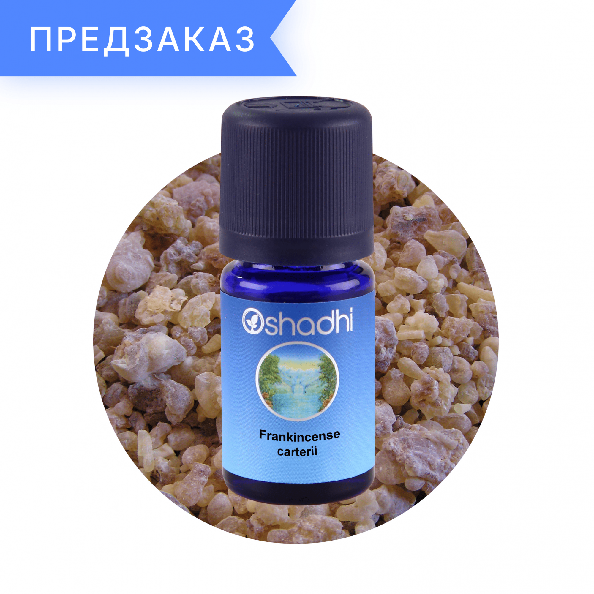 Ладан, Сомали, Boswellia carterii 5 мл