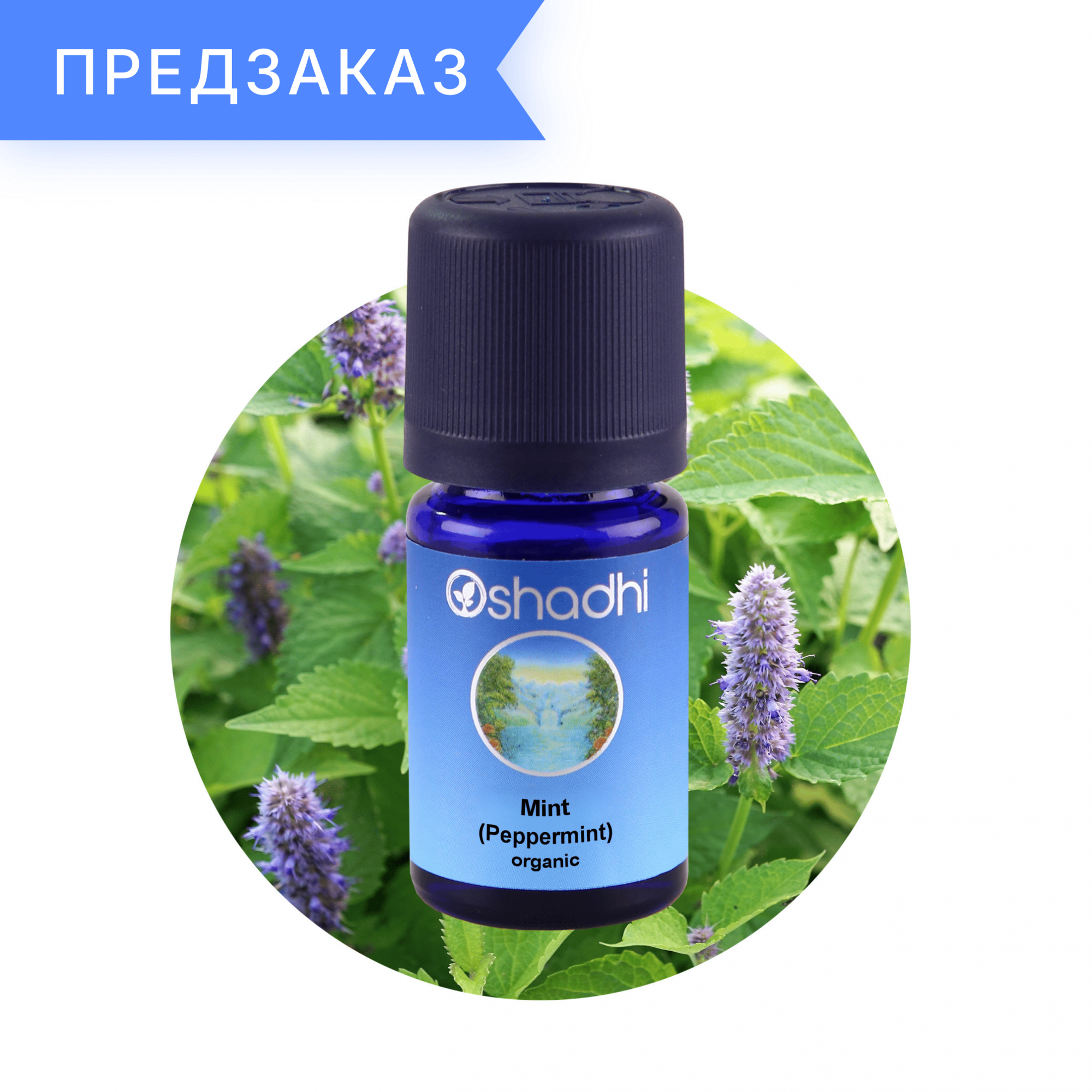 Мята перечная, органическая, Mentha piperita L. var. piperita 10 мл
