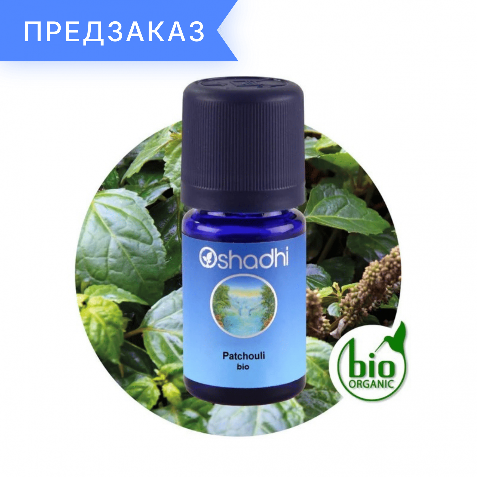 Пачули, органическое, Pogostemon cablin 5 мл