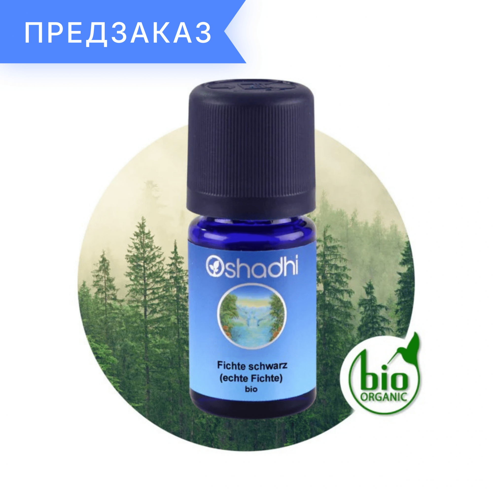 Ель черная, органическая, Picea mariana 10 мл