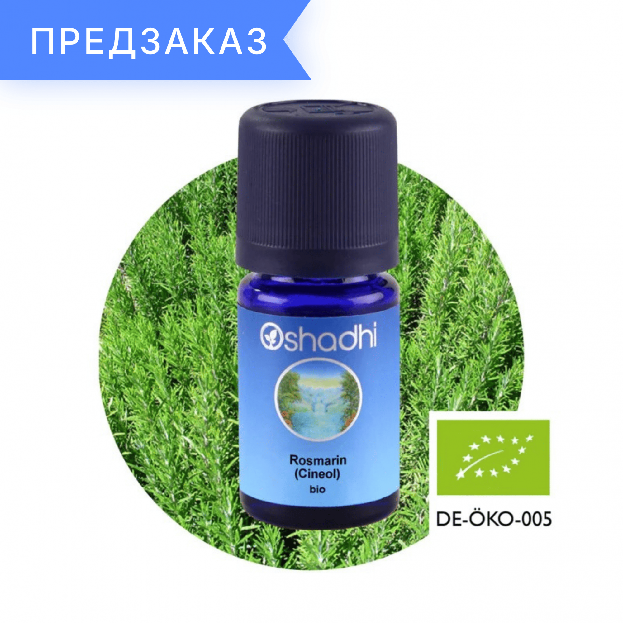 Розмарин (цинеол), Марокко, Rosmarinus officinalis 10 мл