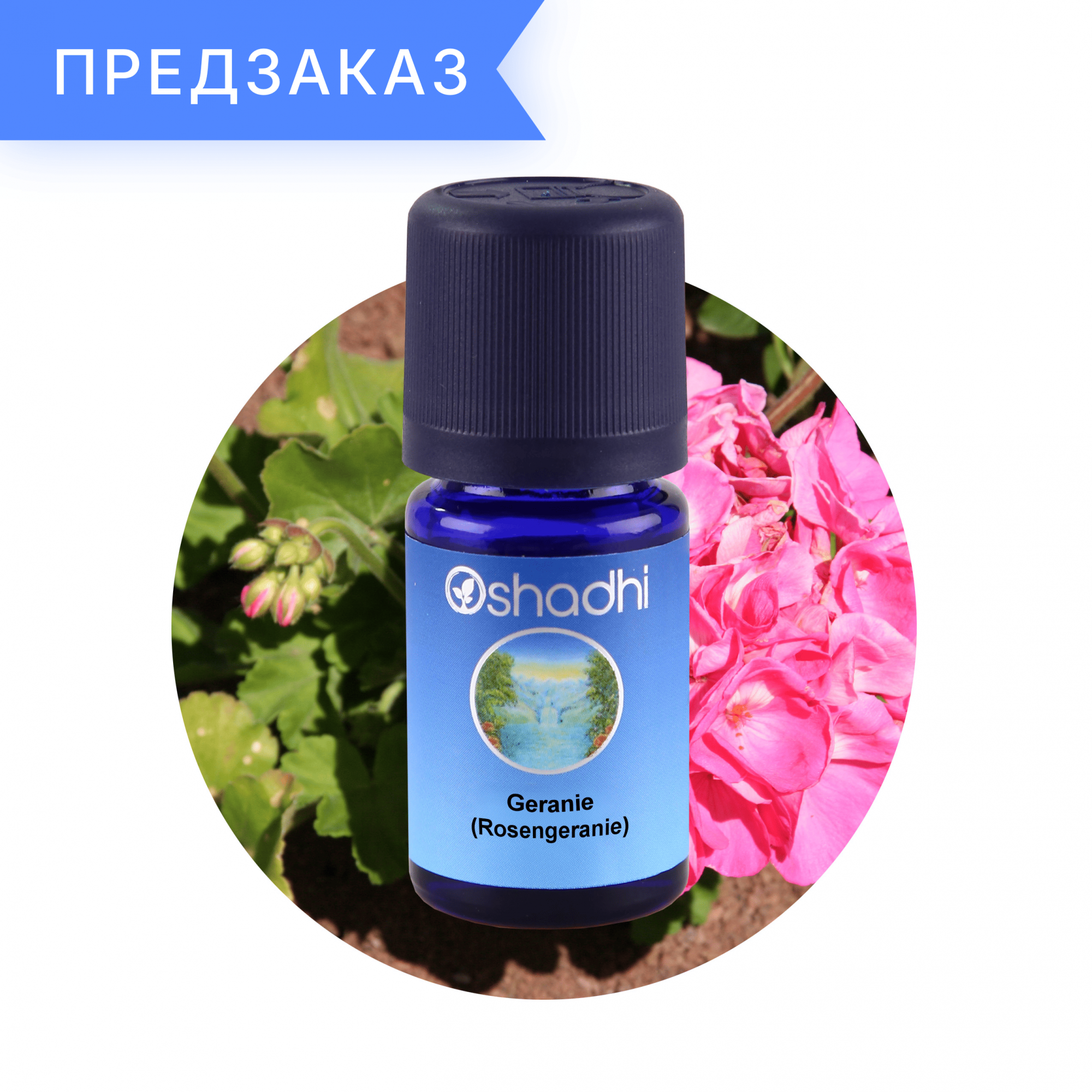 Герань розовая, Pelargonium graveolens 5 мл