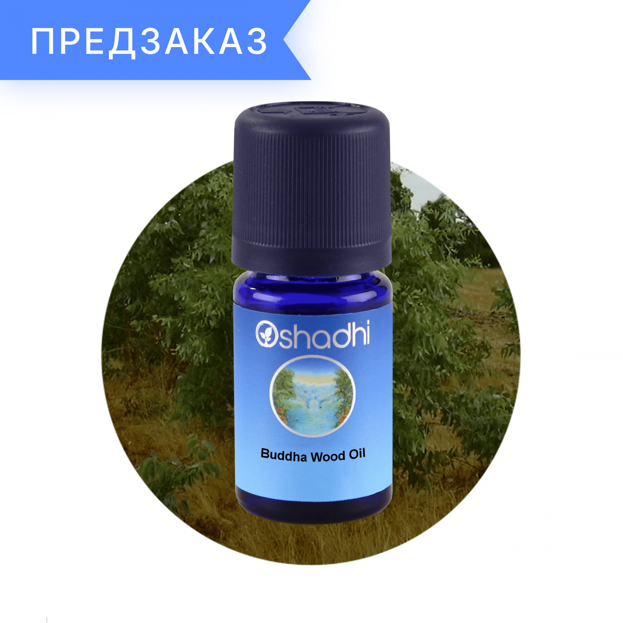 Дерево Будды, Eremophila mitchellii 5 мл